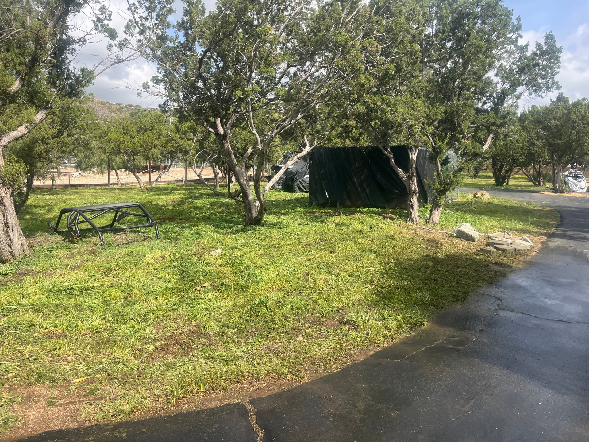 Gallery photos for Overgrown Weeds Knocked Down to a Clean Mowed Property: Image #8