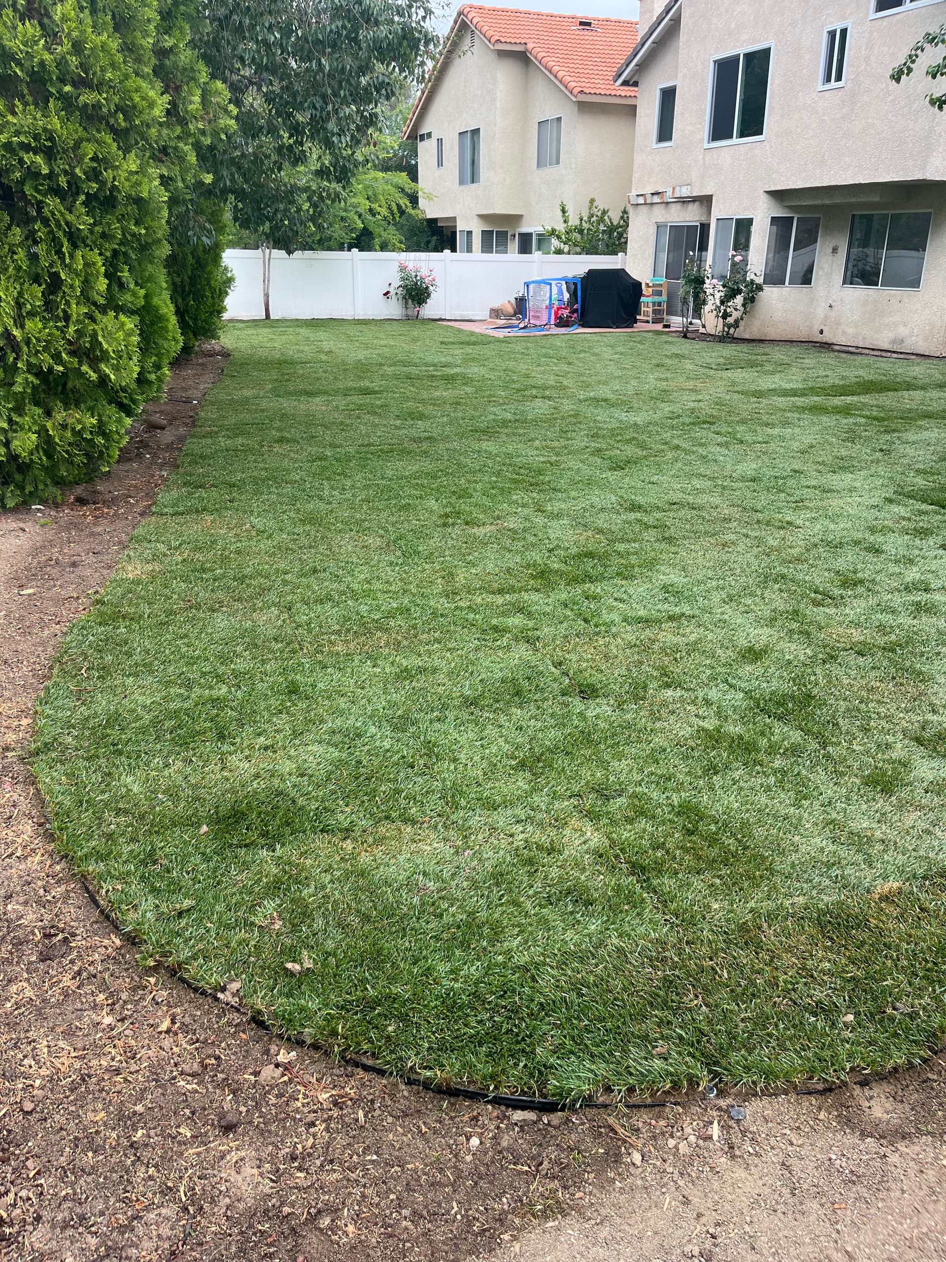 Gallery photos for Dead Dirt to Green Backyard - Full Landscape Overhaul: Image #7