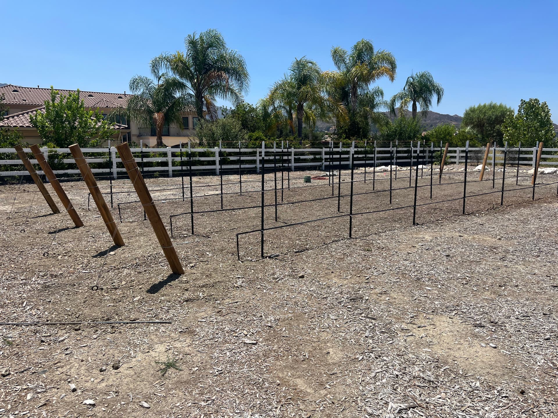 Gallery photos for Backyard Vineyard Build With Full Drip Irrigation System: Image #2