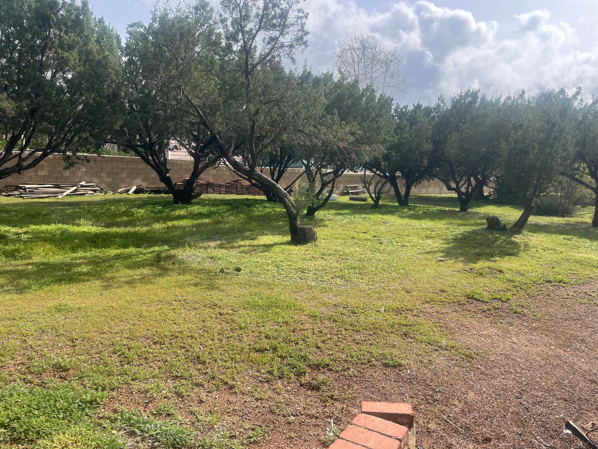 Overgrown Weeds Knocked Down to a Clean Mowed Property