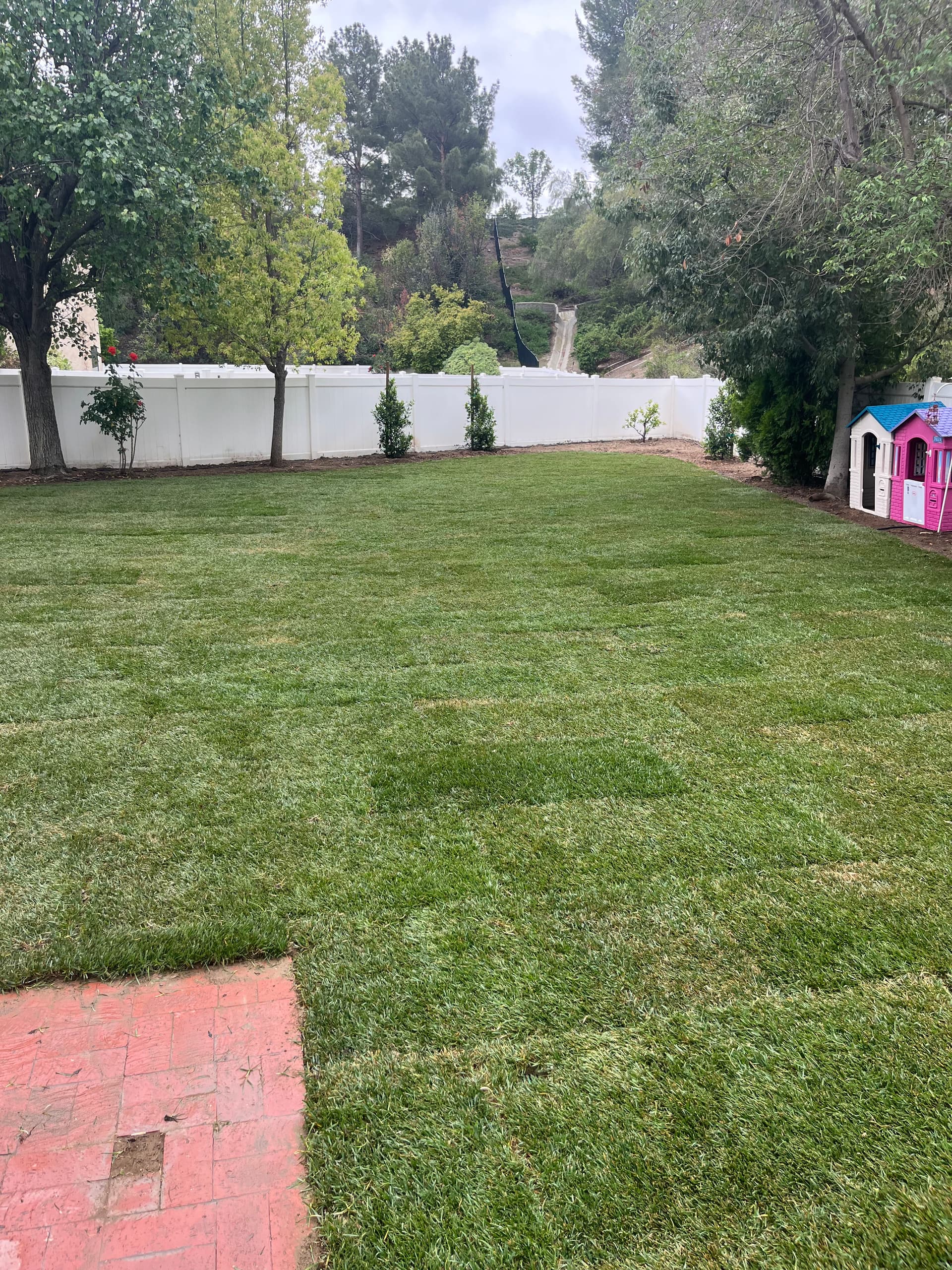 Gallery photos for Dead Dirt to Green Backyard - Full Landscape Overhaul: Image #9