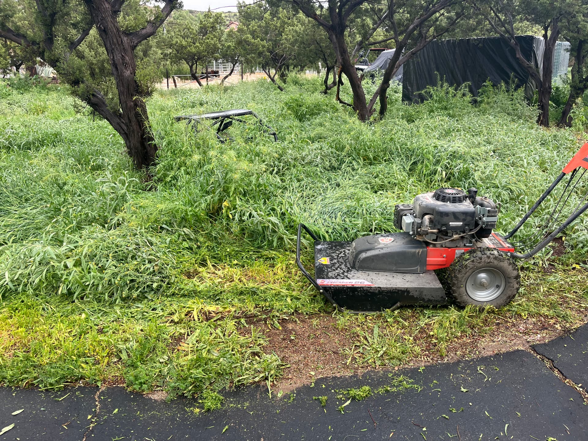 Overgrown Weeds Knocked Down to a Clean Mowed Property