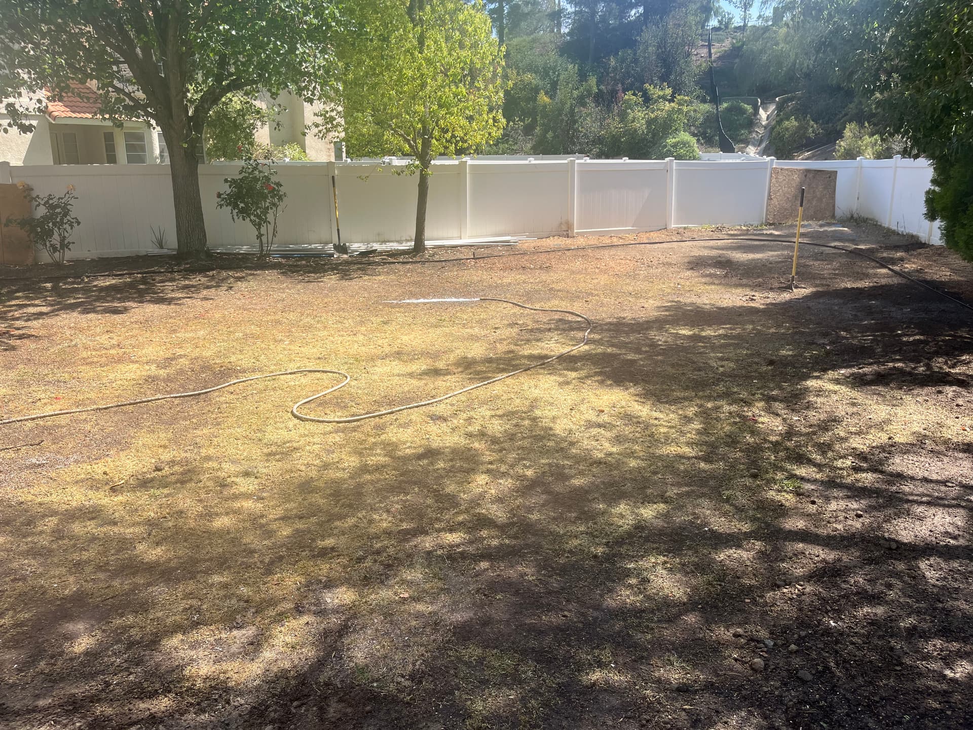 Dead Dirt to Green Backyard - Full Landscape Overhaul