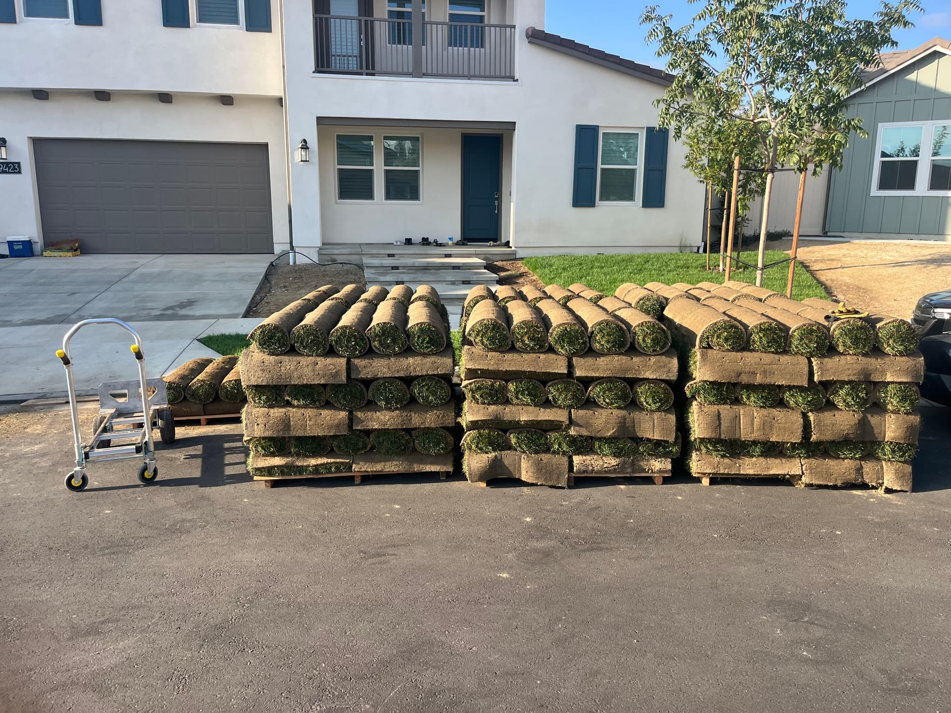 Fresh Sod and Sprinkler Installation for a New Backyard Lawn