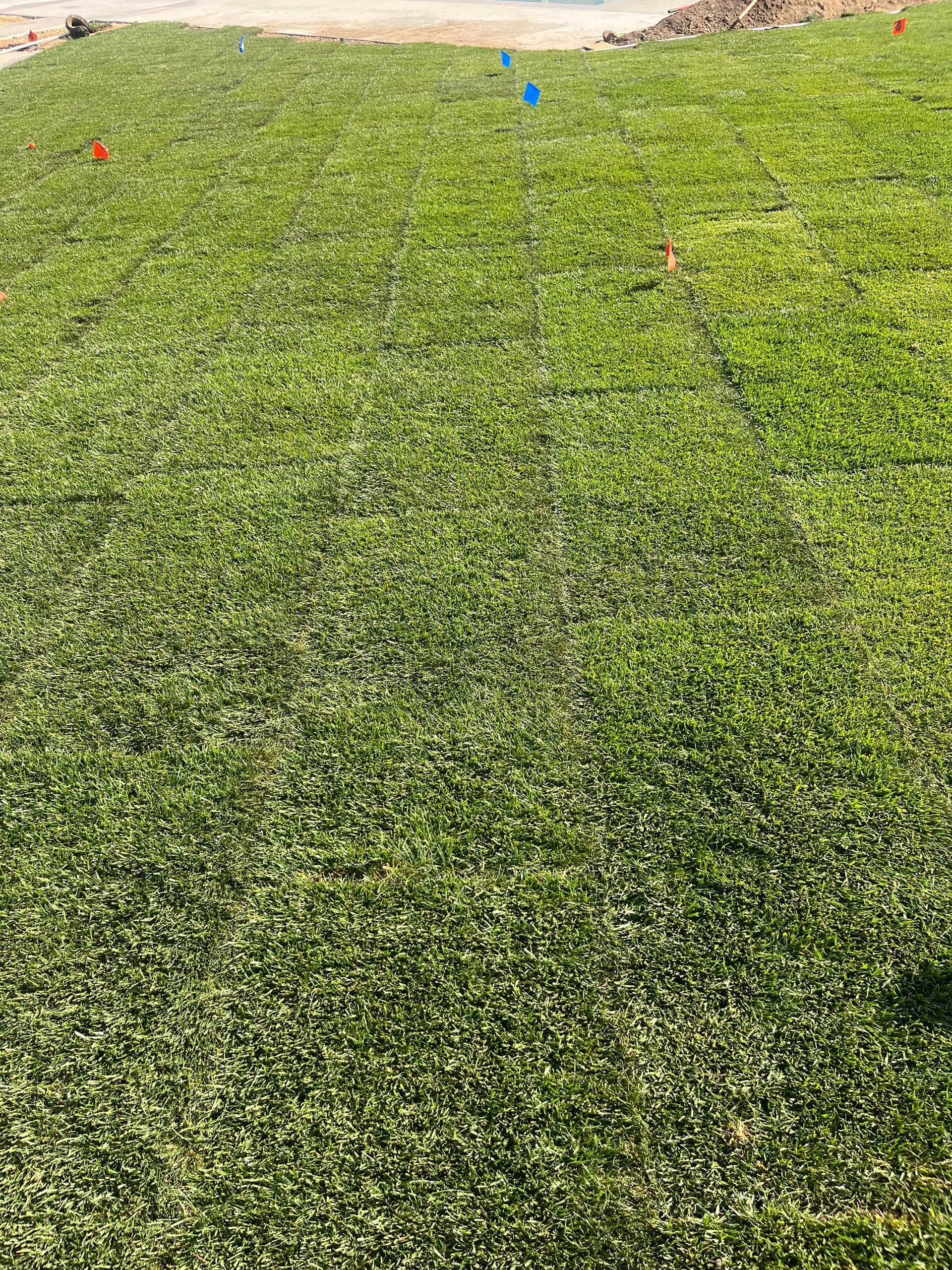 Gallery photos for Fresh Sod and Sprinkler Installation for a New Backyard Lawn: Image #3