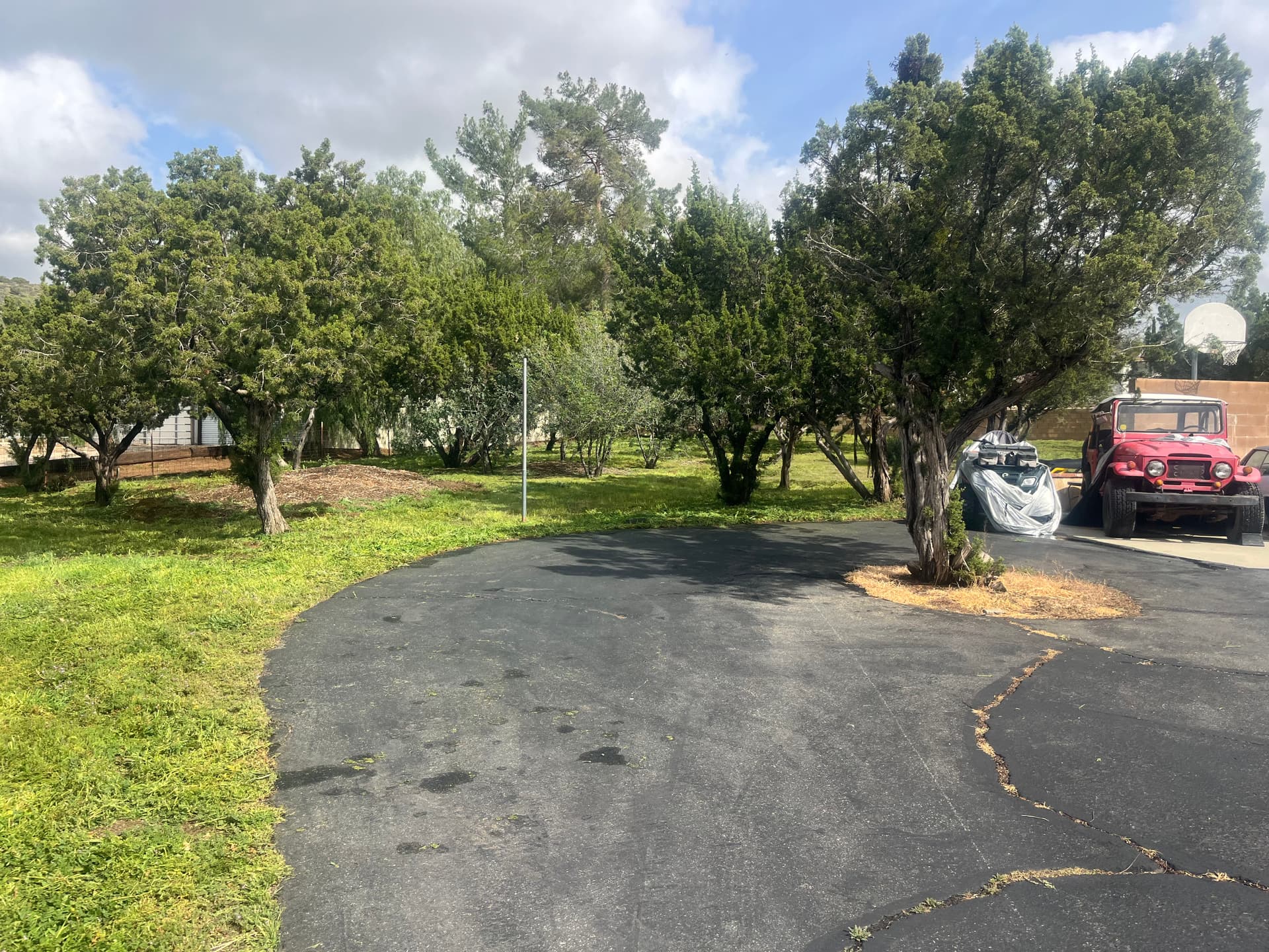 Gallery photos for Overgrown Weeds Knocked Down to a Clean Mowed Property: Image #7