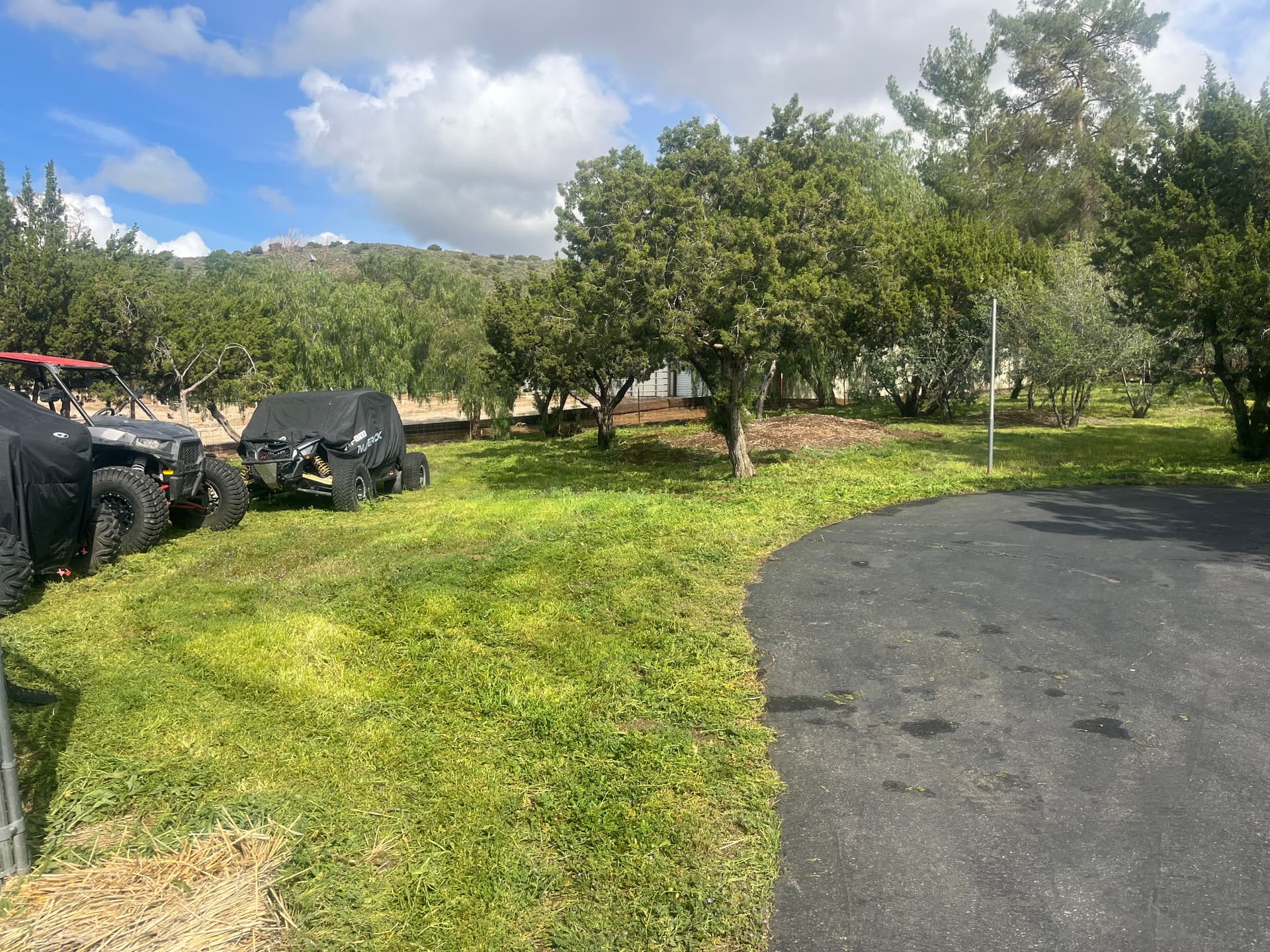 Gallery photos for Overgrown Weeds Knocked Down to a Clean Mowed Property: Image #6