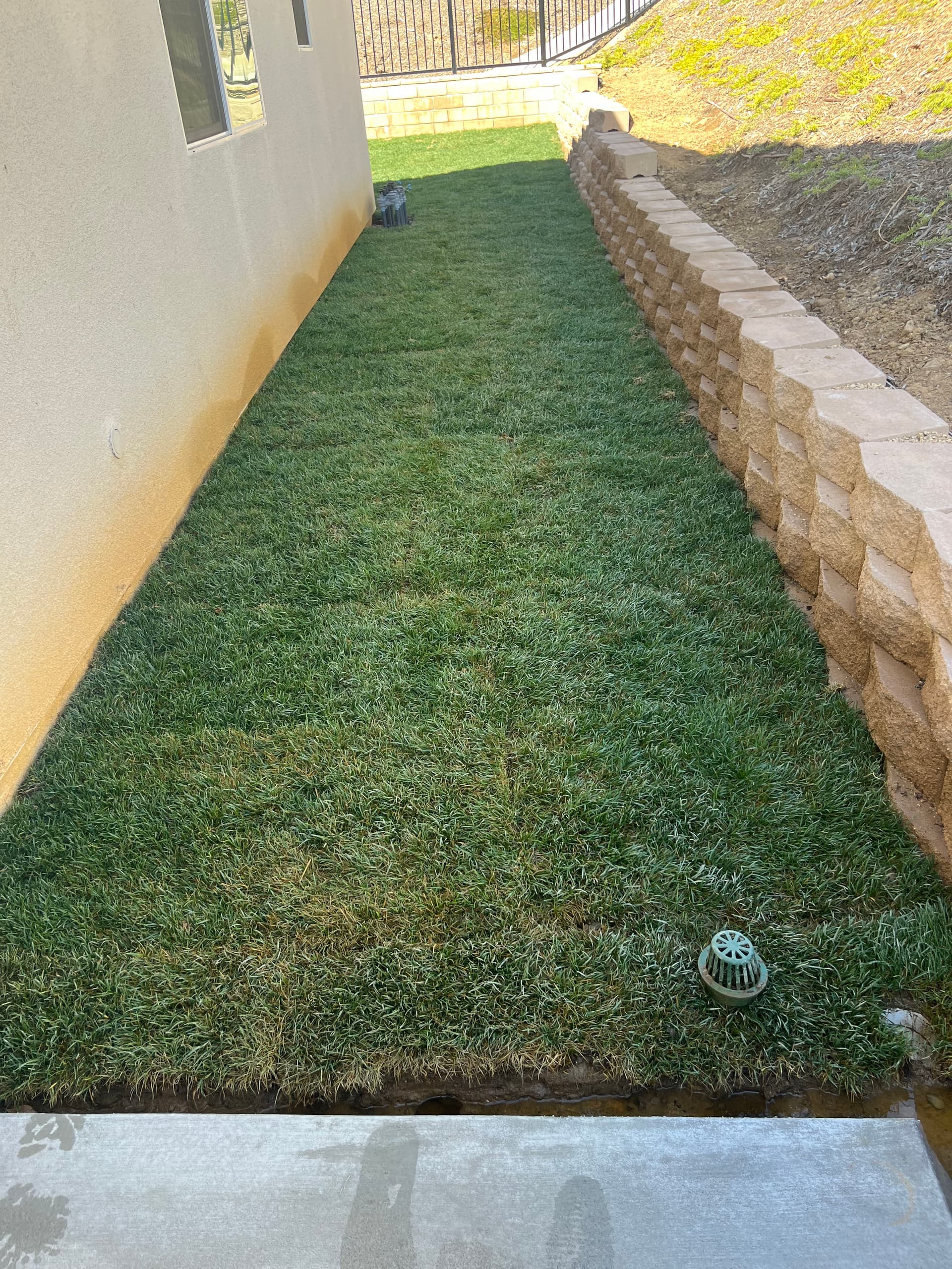 Gallery photos for Bare Dirt Backyard Gets Sod, Irrigation and a Full Rebuild: Image #5