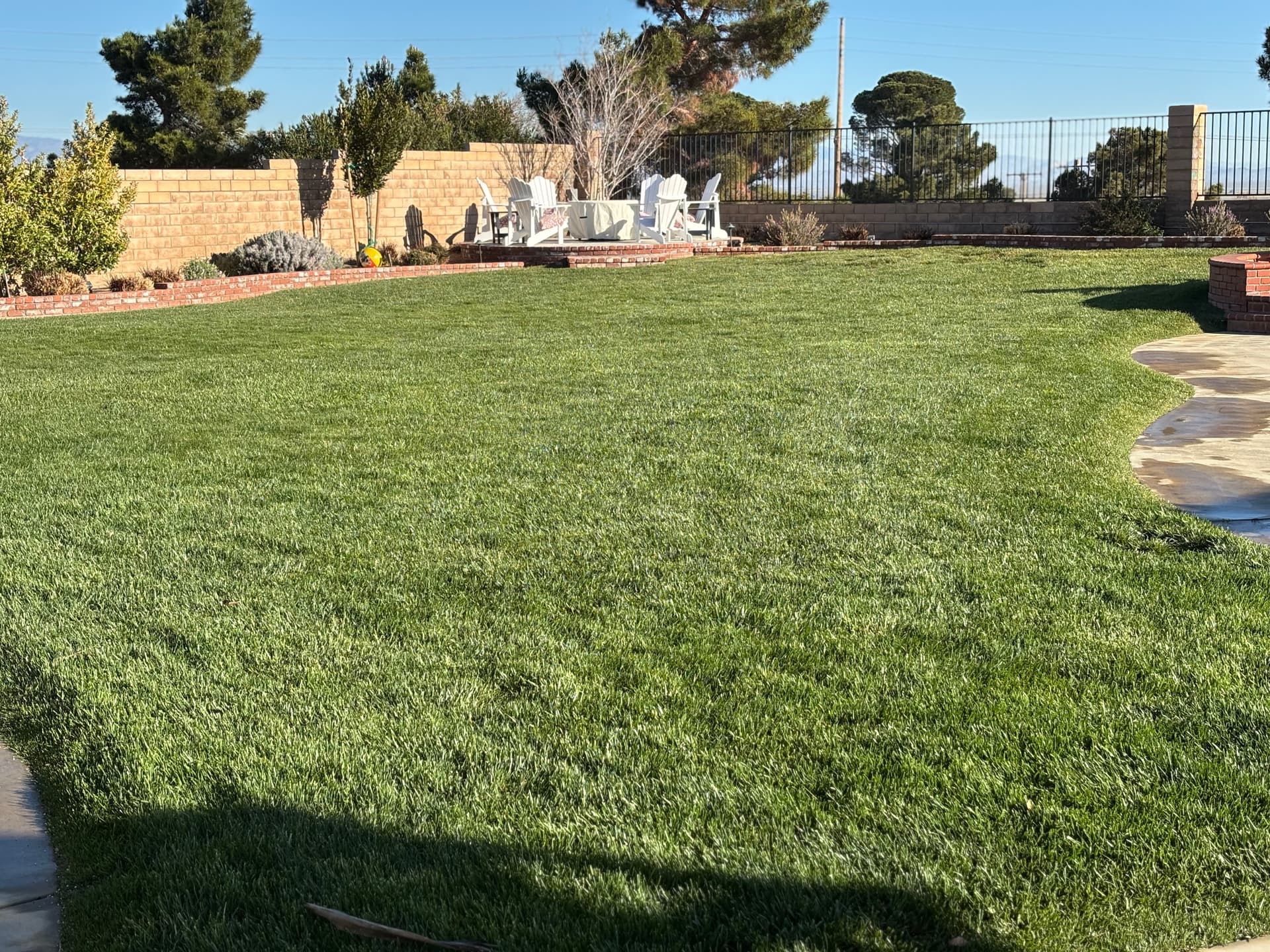 Gallery photos for Brick Patio Platform and Planters Built for Backyard Gatherings: Image #1