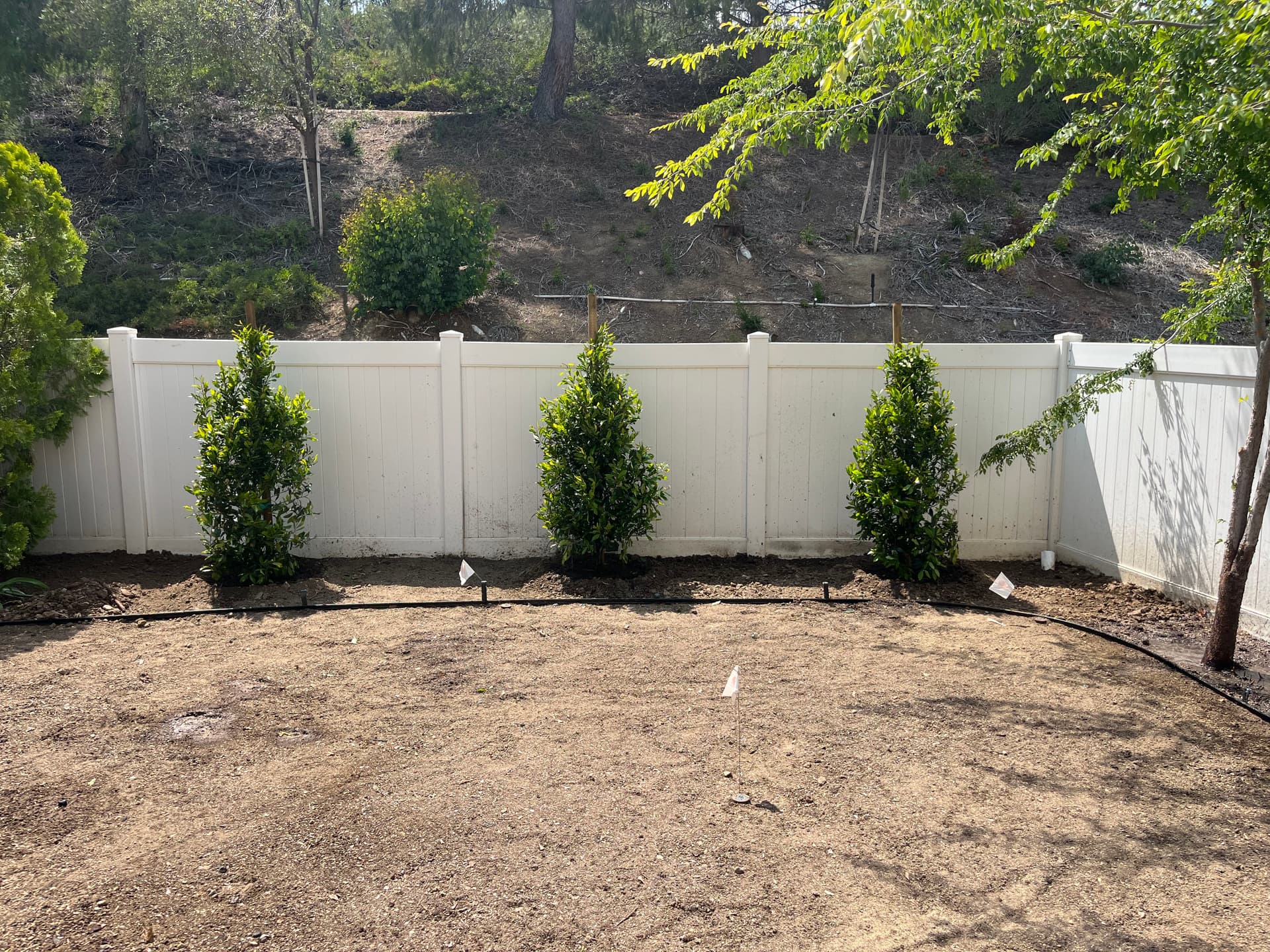 Gallery photos for Dead Dirt to Green Backyard - Full Landscape Overhaul: Image #6