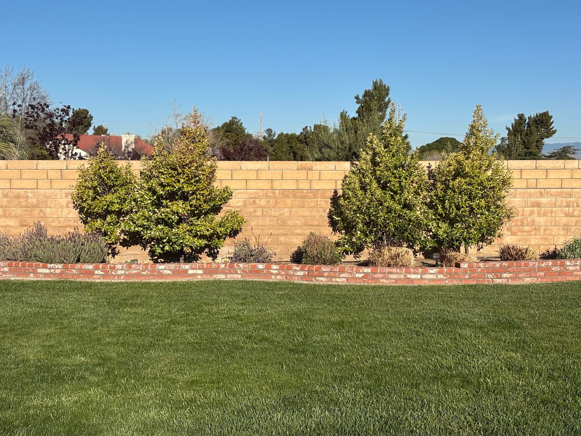 Gallery photos for Brick Patio Platform and Planters Built for Backyard Gatherings: Image #4