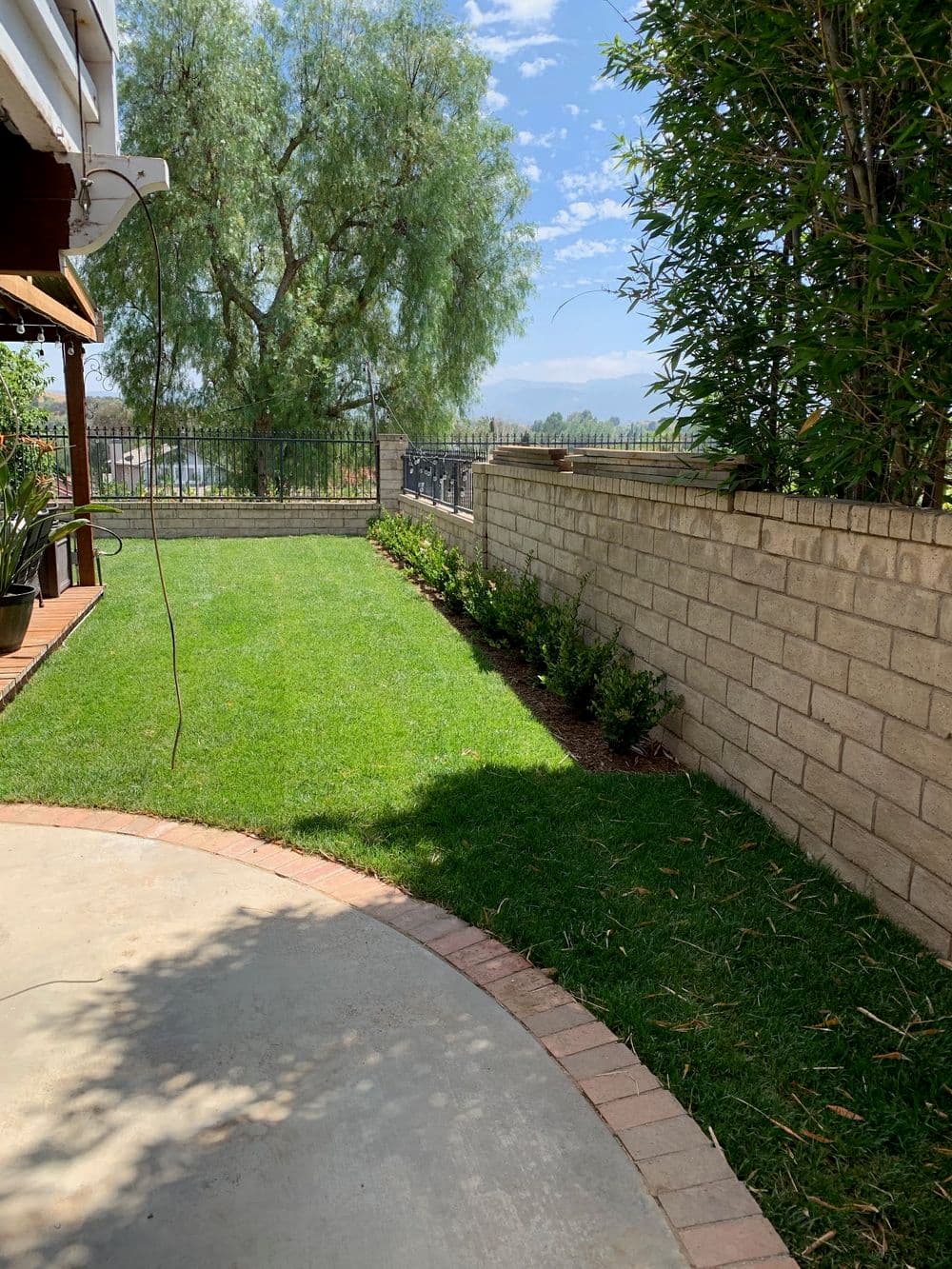Lush green backyard with a stone wall, plants, and clear blue skies in the background.