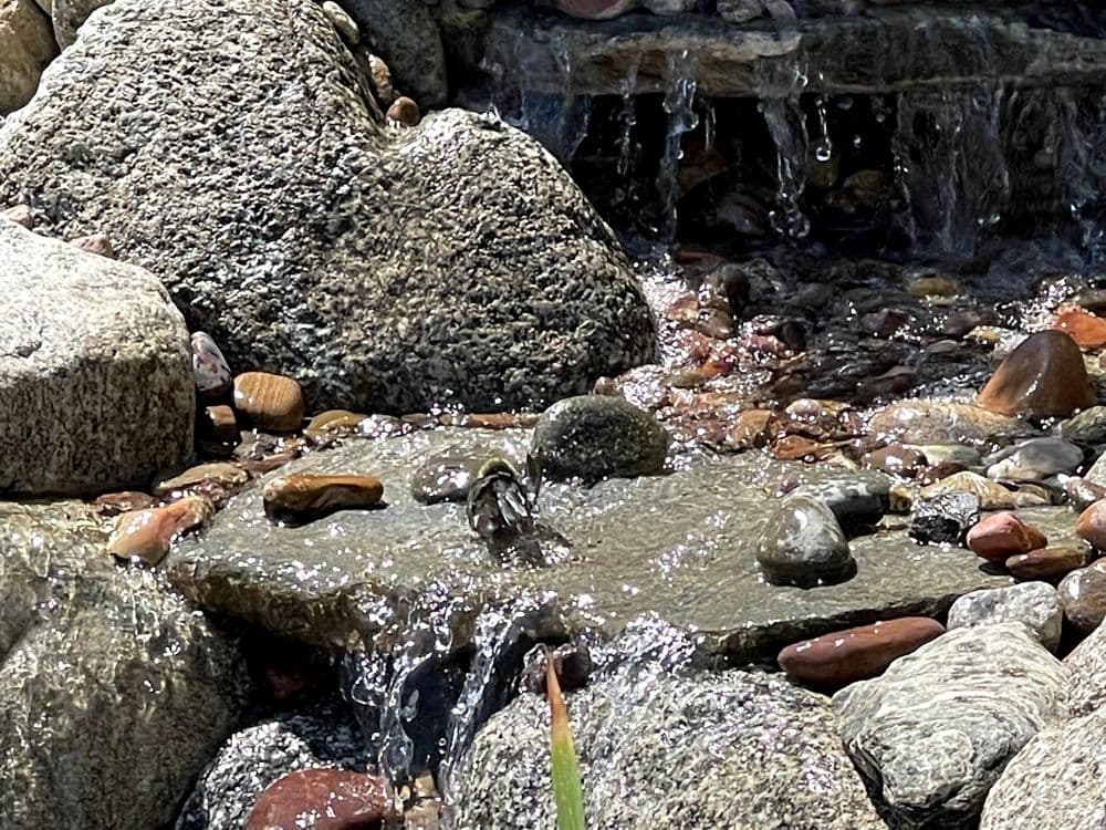 Trickling waterfall over rocks and pebbles in a natural outdoor setting.