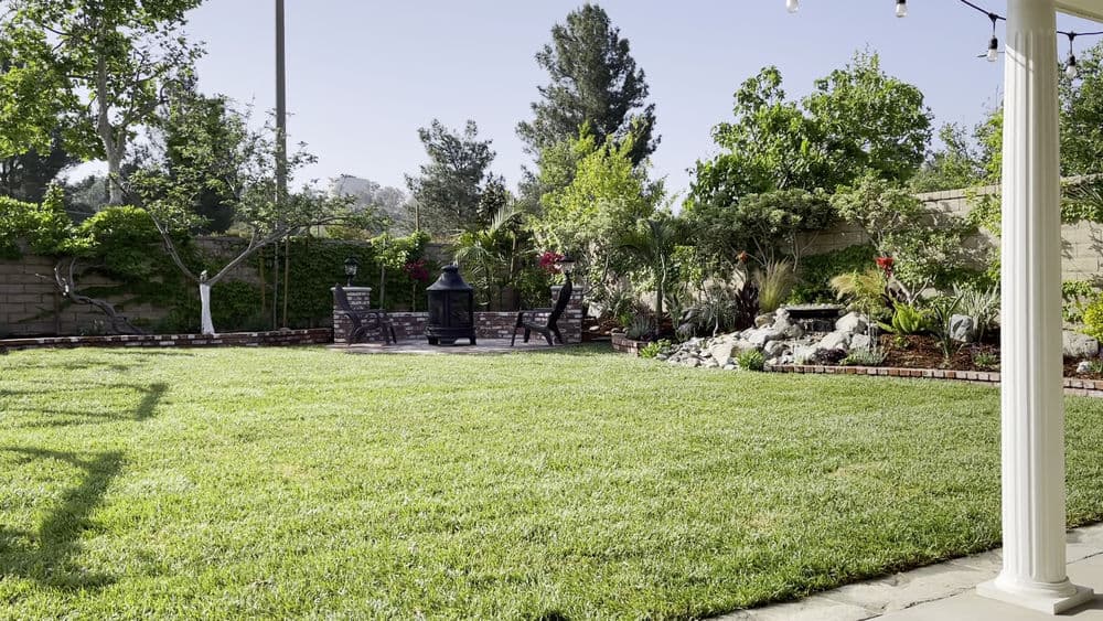 Lush backyard garden with green lawn, seating area, and decorative plants under sunny sky.