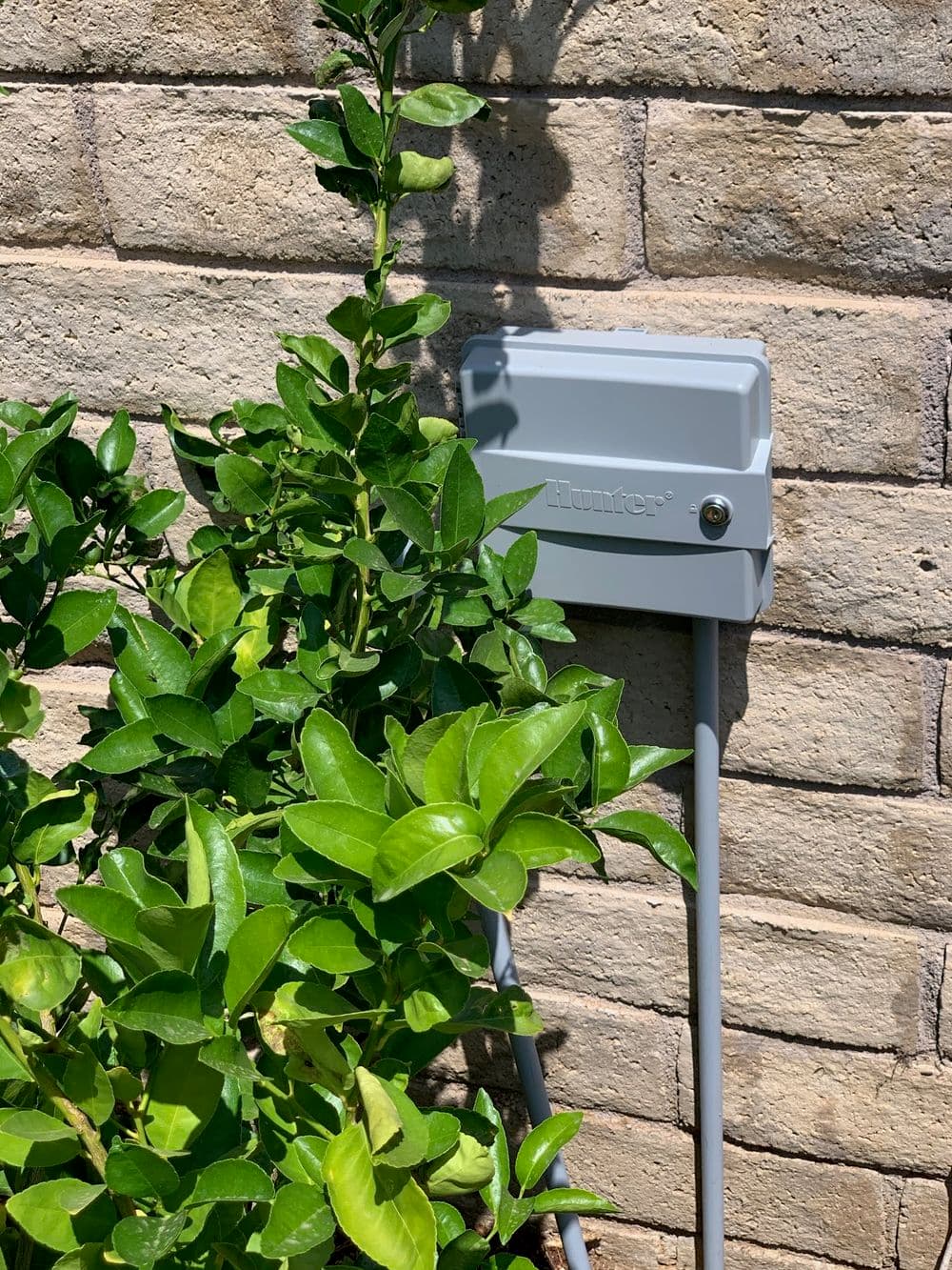 Hunter irrigation controller mounted on a brick wall, surrounded by lush green foliage.
