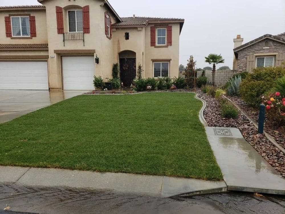 Well-maintained green lawn in front of a suburban home with flower beds and pathway.