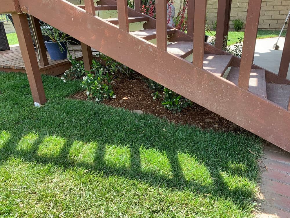 Colorful garden plants beneath wooden stairs in a well-maintained lawn.