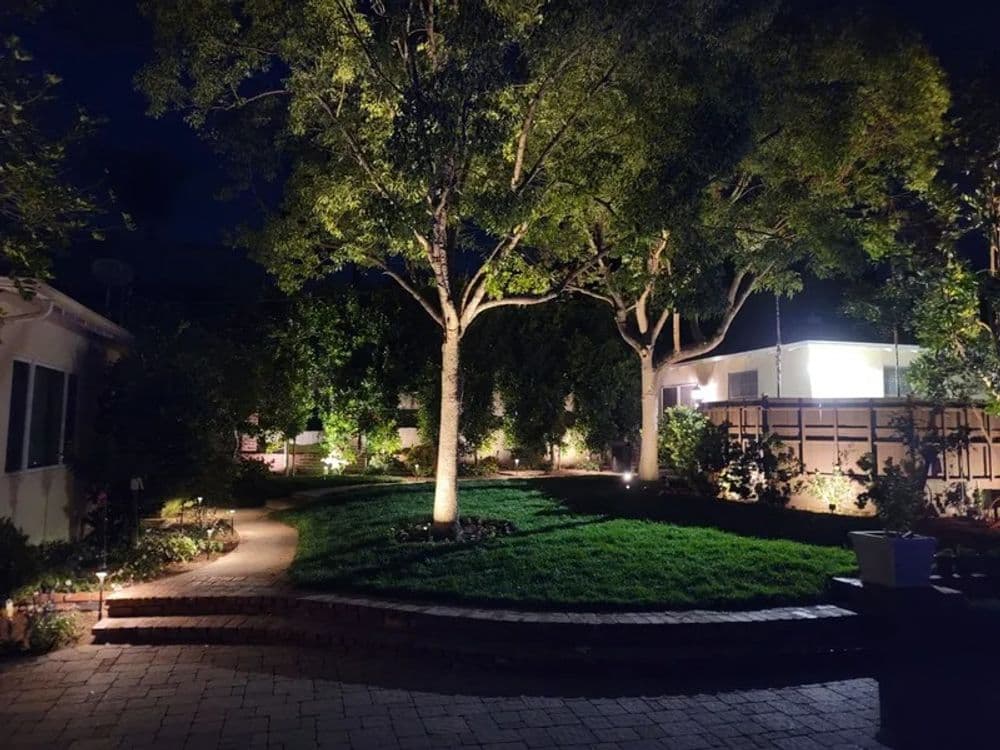 Illuminated backyard at night featuring lush trees and well-maintained landscaping.
