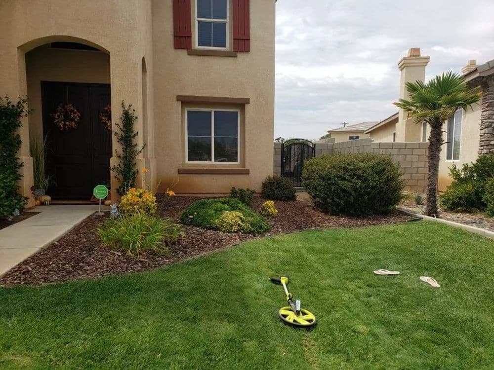 Front yard of a house with landscaping, a lawn measuring tool, and vibrant flowers.