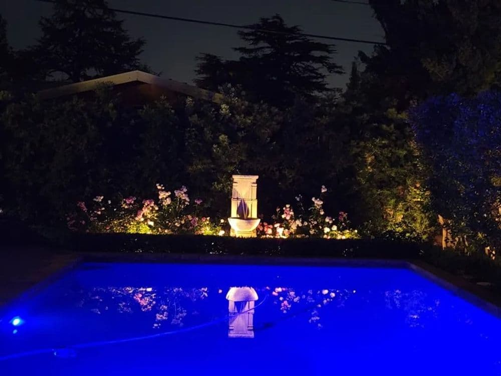 Illuminated pool at night with surrounding flowers and a fountain in a serene garden setting.