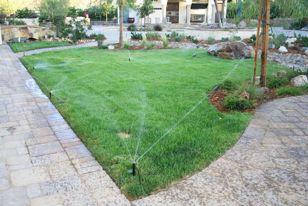 Lawn with sprinkler system watering green grass in a landscaped garden setting.