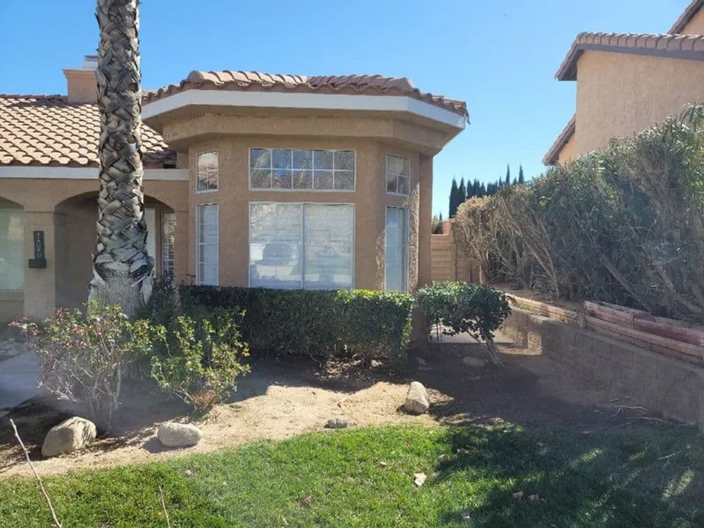 Modern home exterior with a rounded window, palm tree, and landscaped yard under clear blue sky.