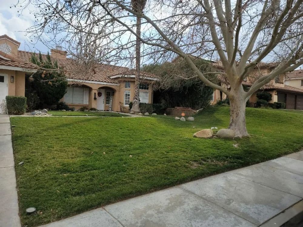 Lush green lawn and landscaped home exterior with desert plants and palm trees.
