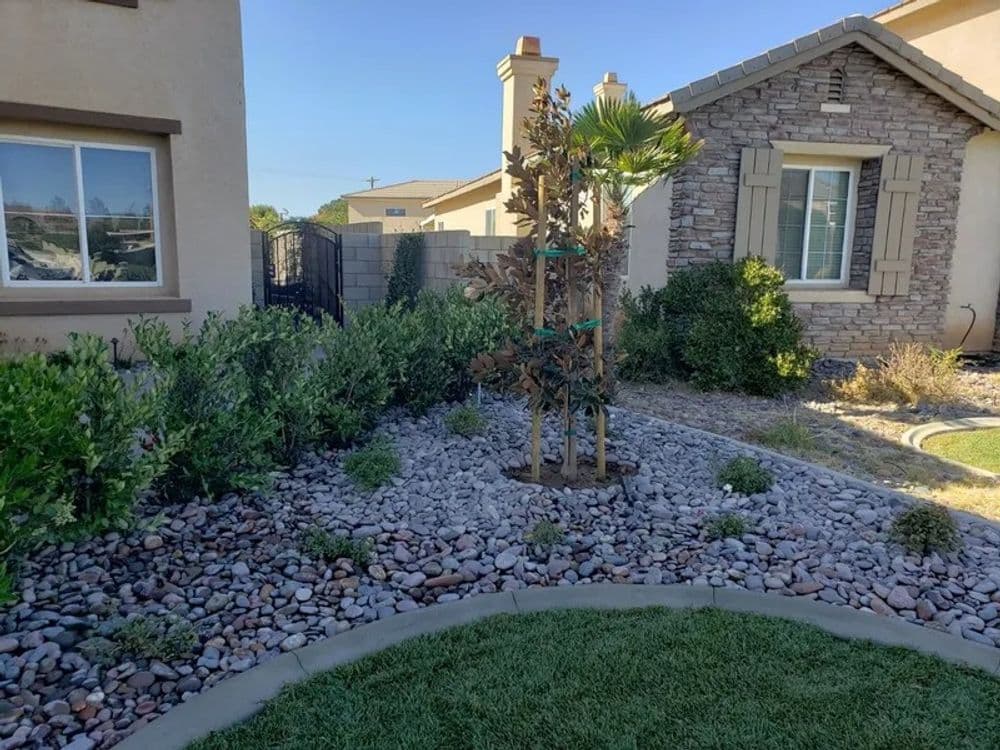 Landscape design featuring a rock garden, shrubs, and a newly planted tree near a residential home.
