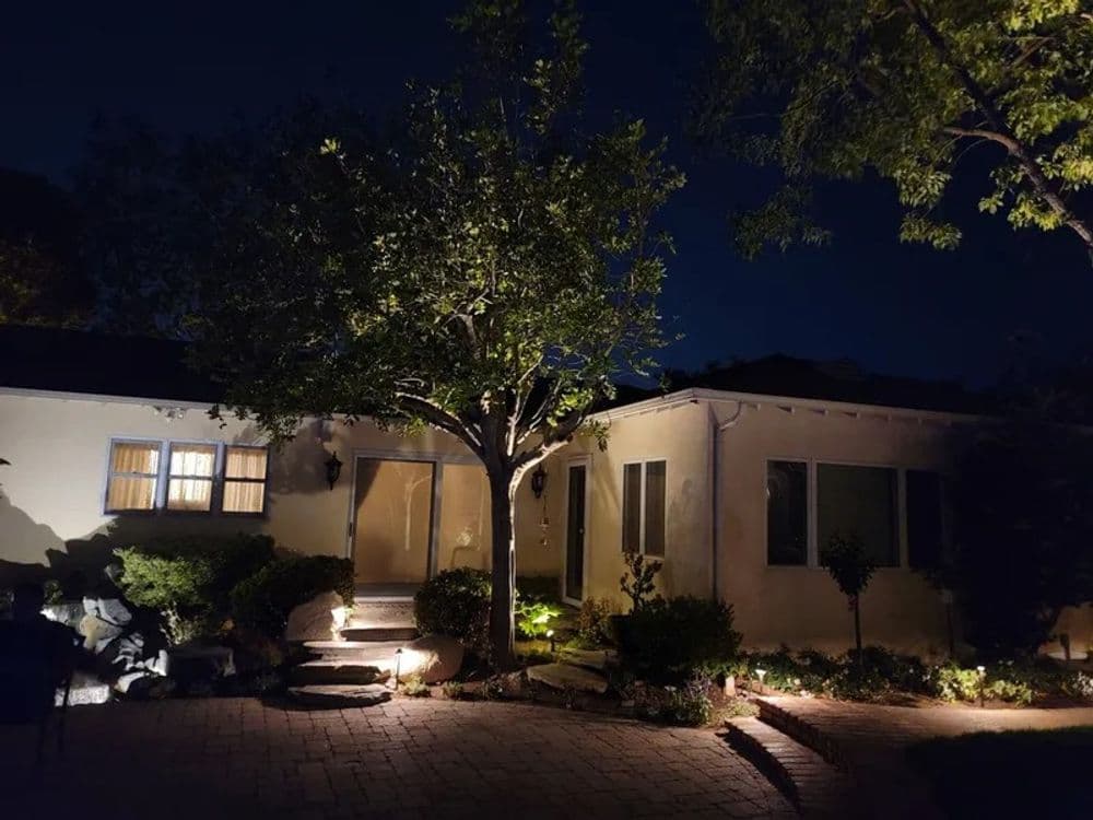Illuminated home exterior at night with landscaped garden and tree.