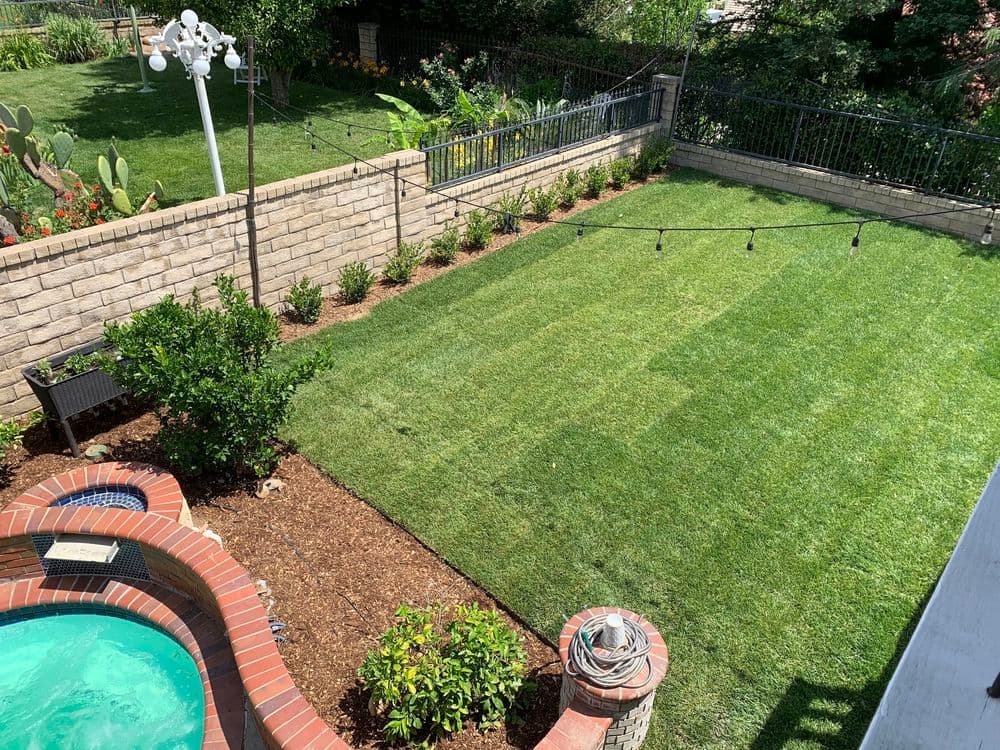 Well-maintained backyard with a grassy lawn, garden beds, and a spa area.