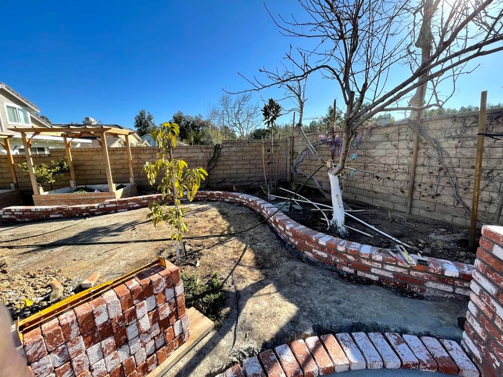 Brick garden landscape with curved walls, sapling tree, and clear blue sky.