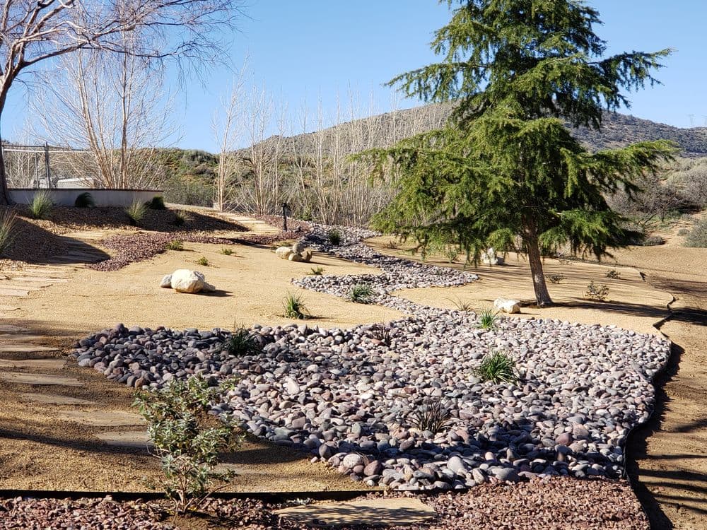 Desert landscape with rocks, grasses, and a pine tree against a clear blue sky.