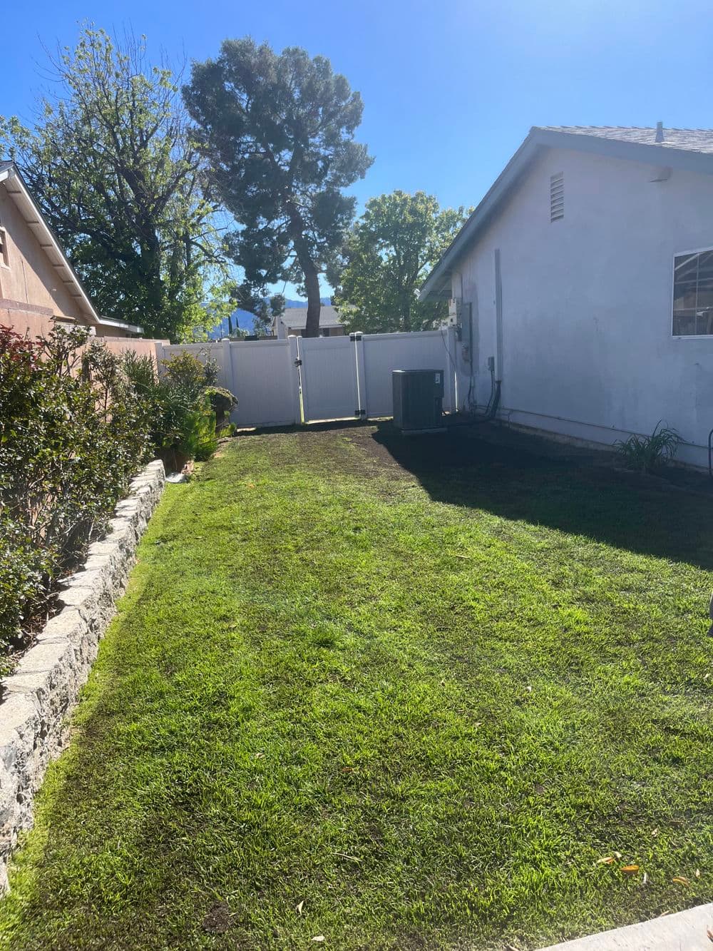 Lush green backyard with grass, fence, and adjacent house under a clear blue sky.