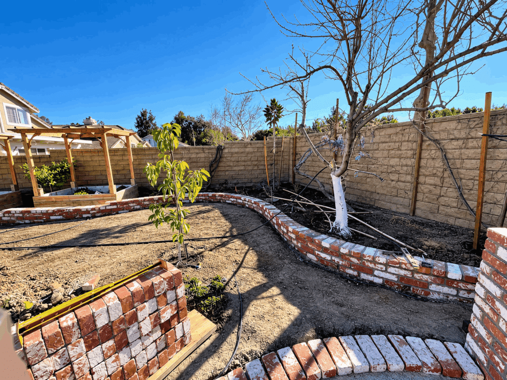 A brick wall serves as a backdrop for a tree growing in the center, highlighting nature amidst urban architecture.