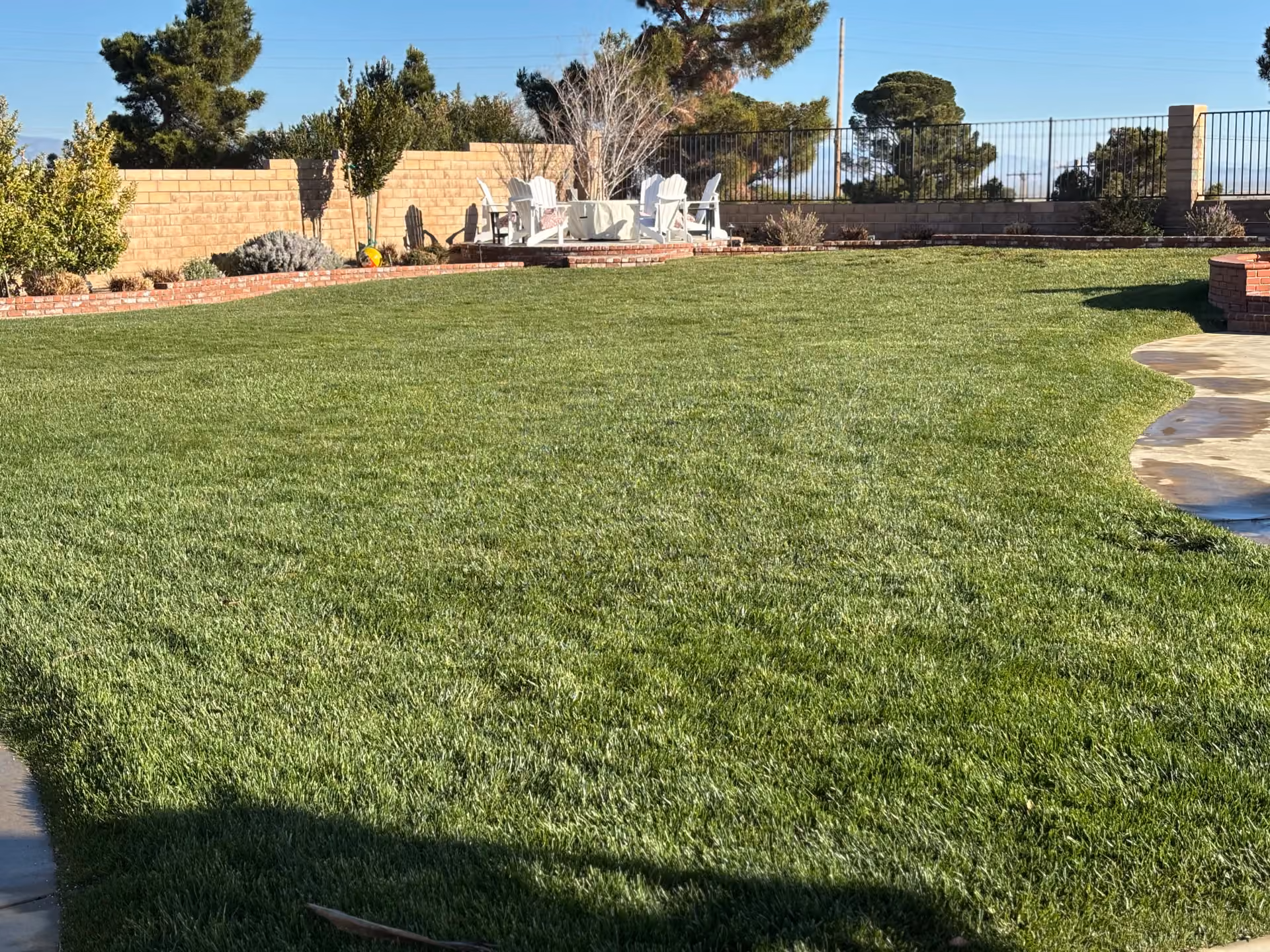 A well-maintained lawn featuring a swimming pool surrounded by a fence, creating a private outdoor space.