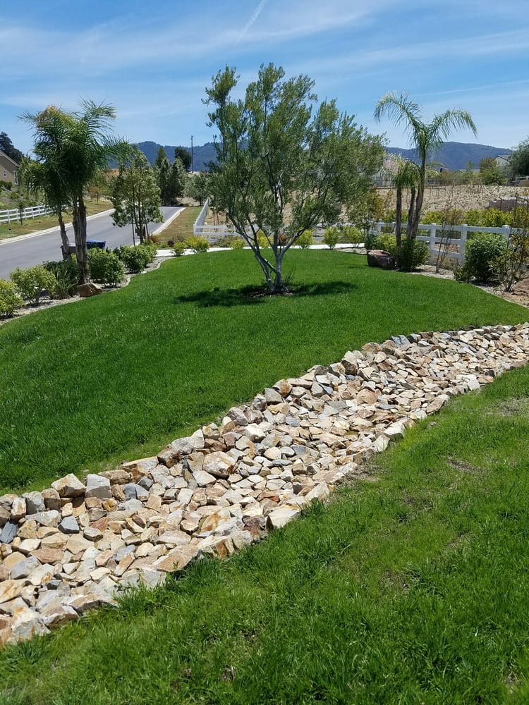 A grassy area featuring a stone path surrounded by palm trees under a clear blue sky.