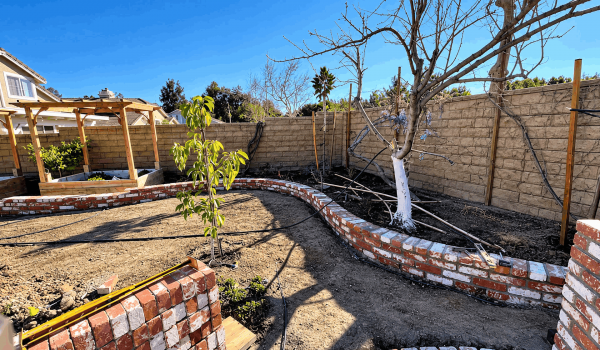 A brick wall serves as a backdrop for a tree growing in the center, highlighting nature amidst urban architecture.