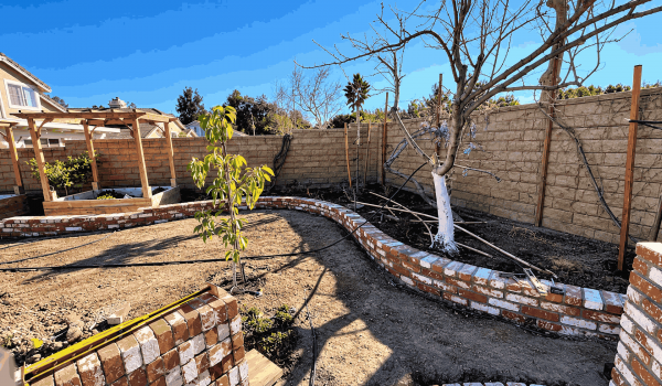 A brick wall serves as a backdrop for a tree growing in the center, highlighting nature amidst urban architecture.